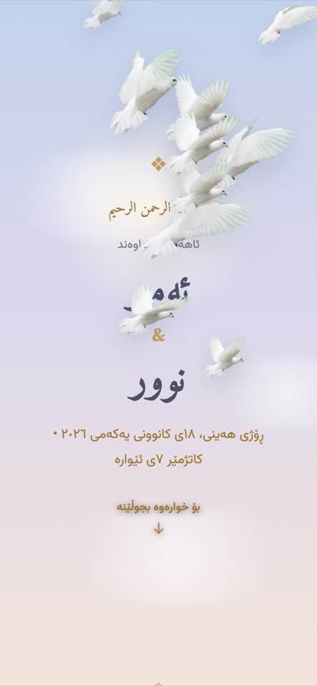 کارتەکە لە ناوەوە — کۆتر