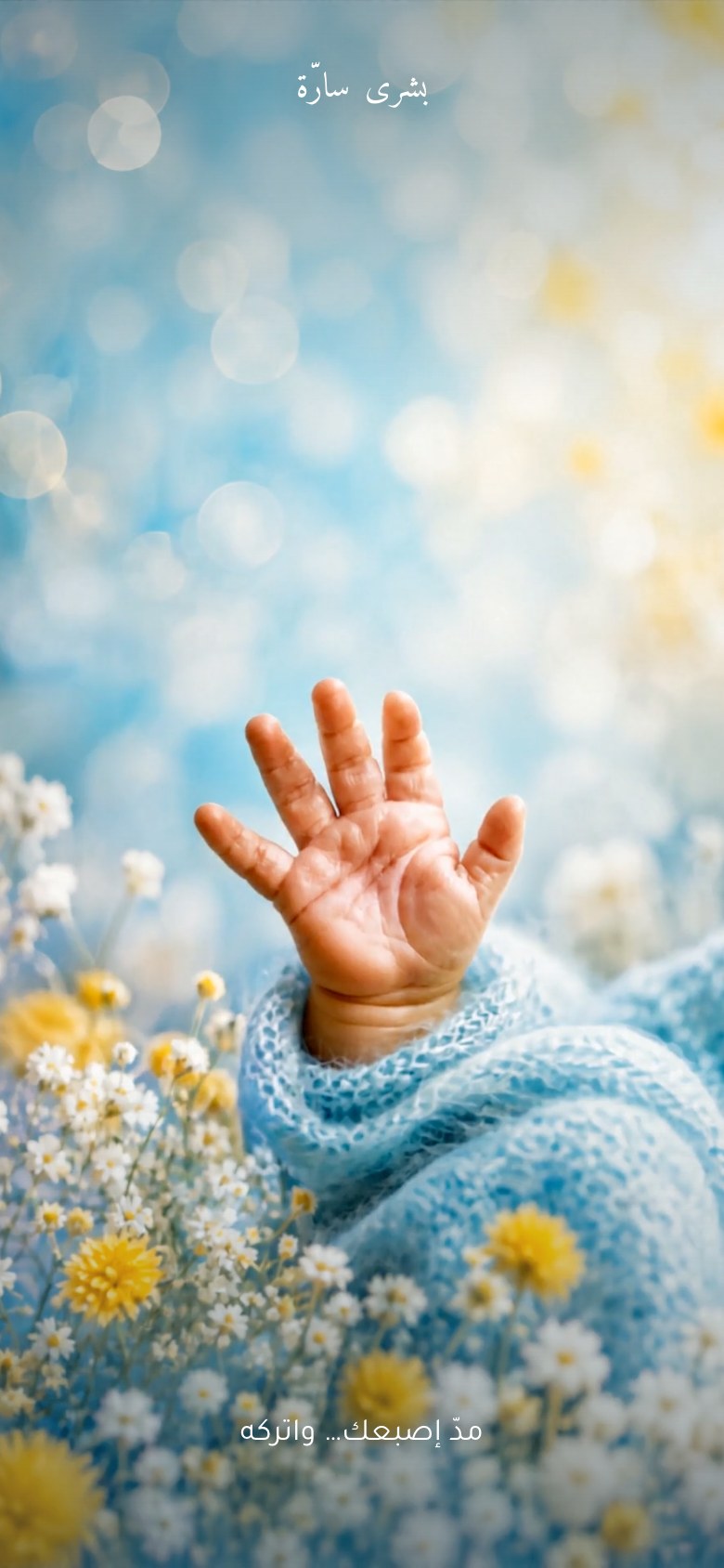 شاشة الافتتاح — قِبضة